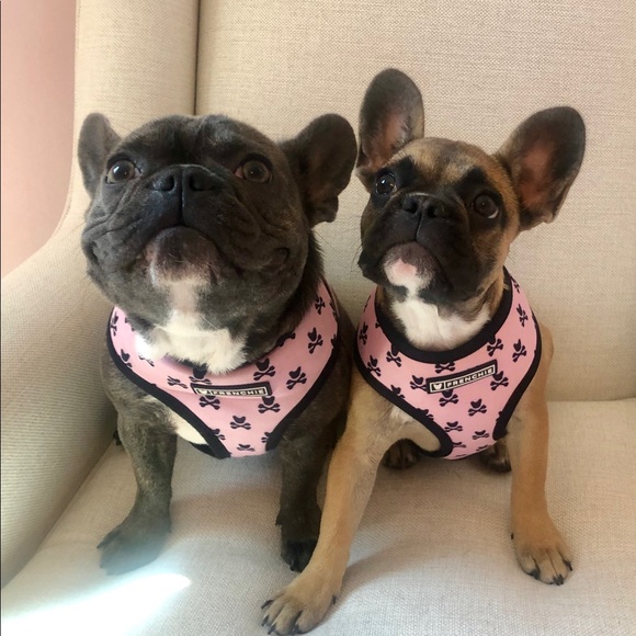 Meet your posher - Picture 5 of 6